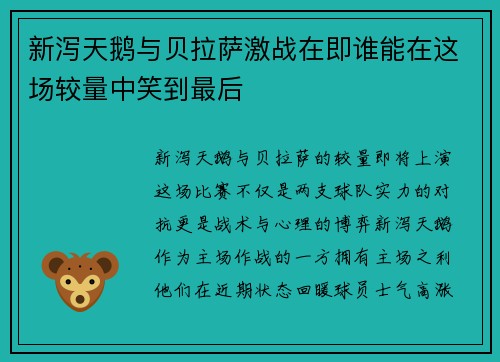 新泻天鹅与贝拉萨激战在即谁能在这场较量中笑到最后